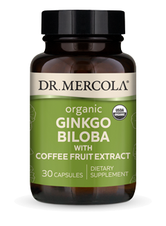 Organic Ginkgo Biloba 30 Capsules - Healthspan Holistic