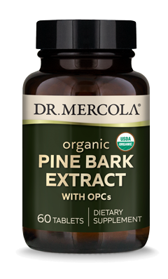 Organic Pine Bark Extract 60 Tablets - Healthspan Holistic