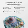 Liposomal NAD+ capsules from Neurogan Health, dietary supplement bottles with capsules in a natural setting.