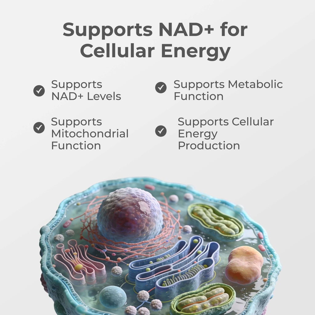 Liposomal NAD+ capsules from Neurogan Health, dietary supplement bottles with capsules in a natural setting.