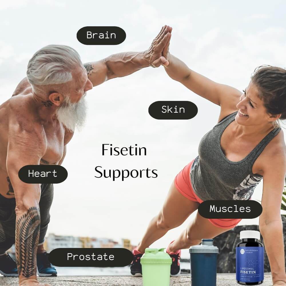 Liposomal Fisetin capsules by Neurogan Health, dietary supplement bottles with white caps and label, for antioxidant support.