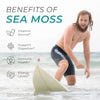 Neurogan Health Sea Moss Capsules, a dietary supplement, with a focus on natural benefits of sea moss in a clear bottle.