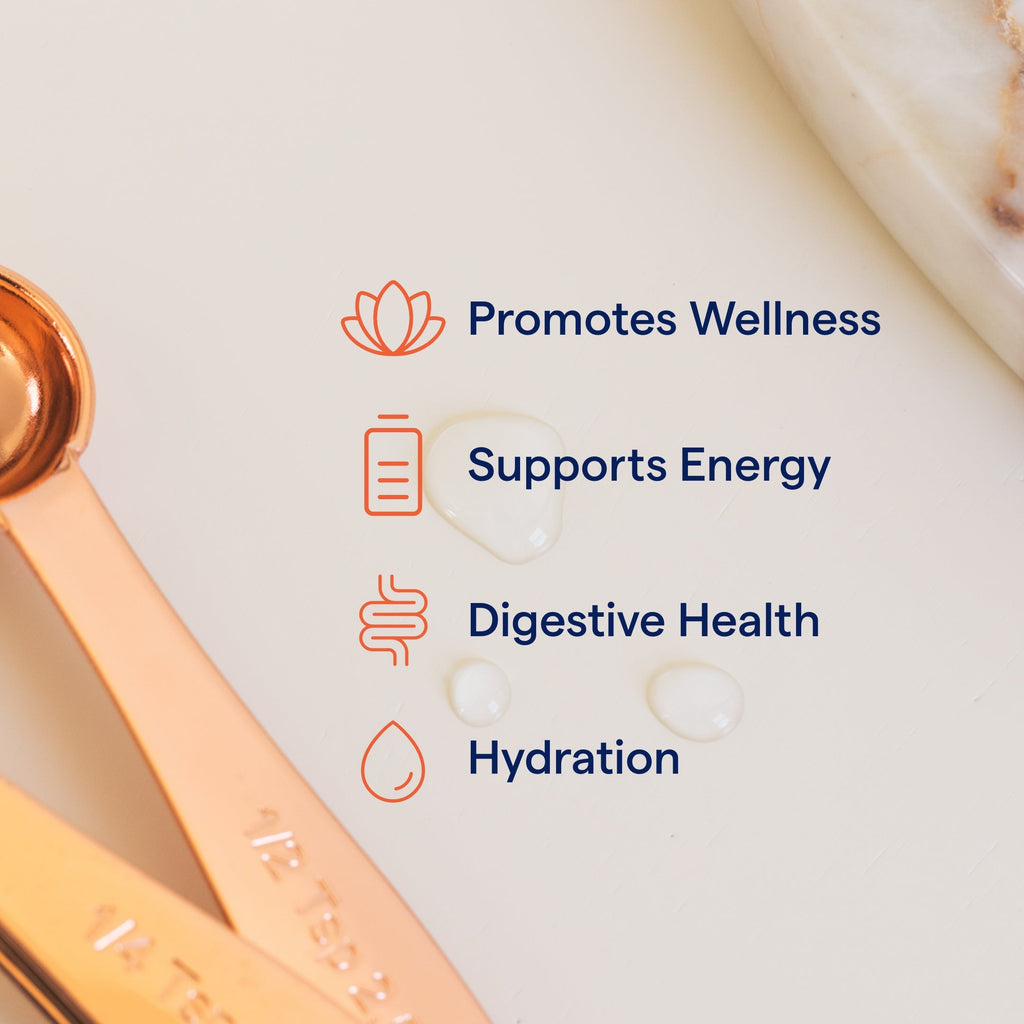 ConcenTrace® Trace Mineral Drops 2 fl oz - Trace Minerals - Healthspan Holistic