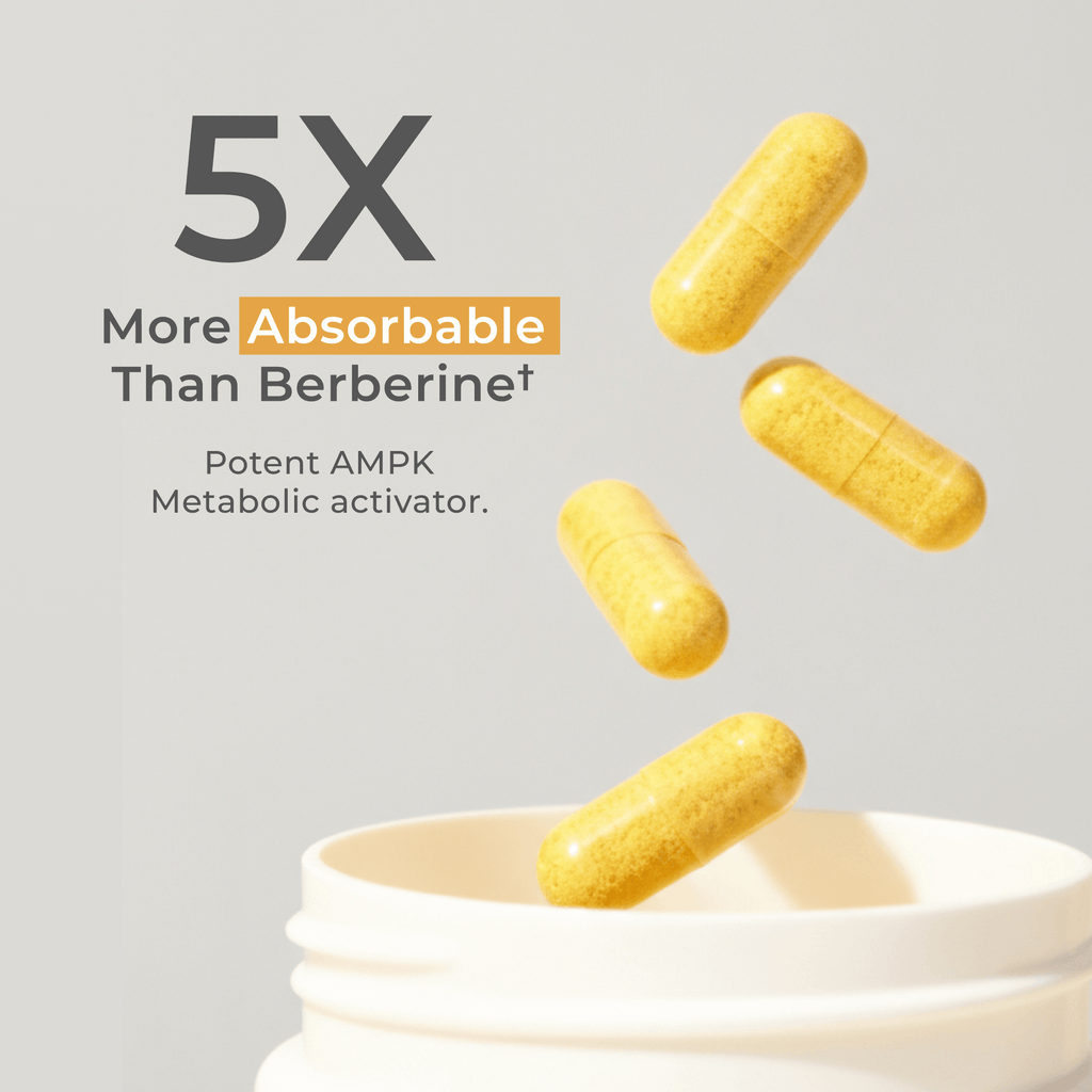 Dihydroberberine capsules by Neurogan Health, dietary supplement for metabolic activation, shown in clear container with capsules.