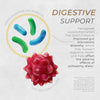 Neurogan Health fenugreek seed capsules for digestive support, shown in a bottle with fresh fenugreek seeds nearby.
