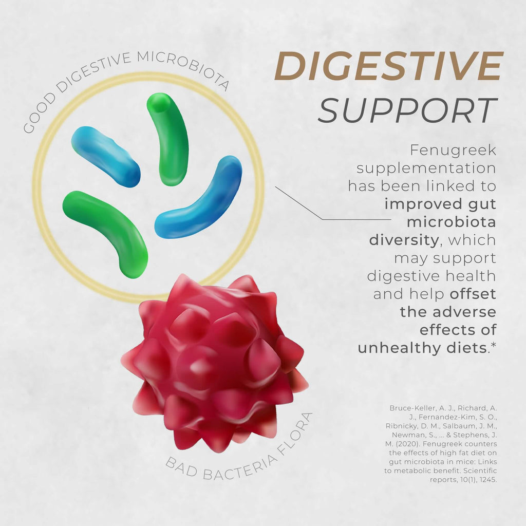 Neurogan Health fenugreek seed capsules for digestive support, shown in a bottle with fresh fenugreek seeds nearby.