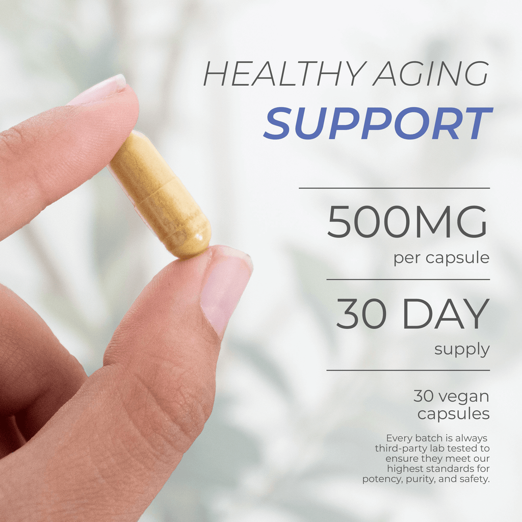 Neurogan Health Fisetin Capsules showing the total dose in a clear container with white capsules arranged on a white background.