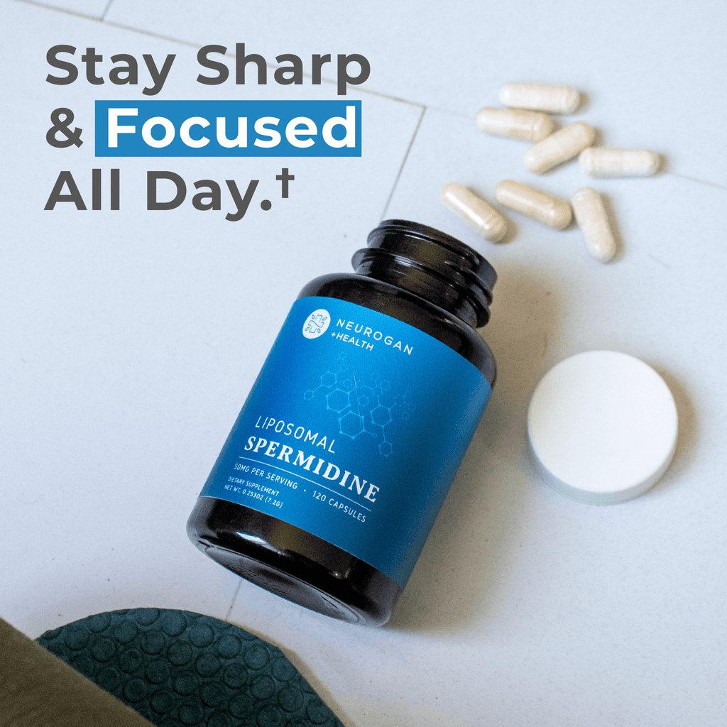 Liposomal spermidine capsules from Neurogan Health, dietary supplement for focus and cellular health.