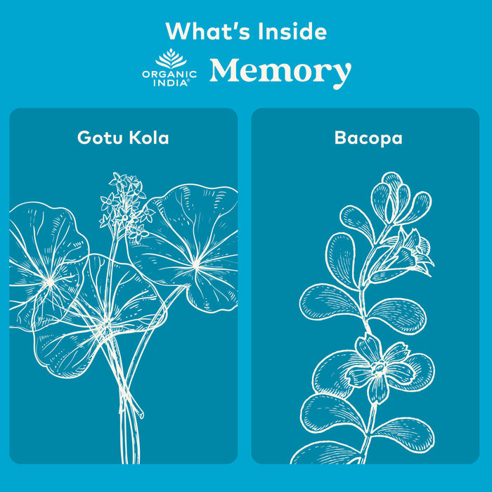 Memory 90 Capsules - Organic India - Healthspan Holistic