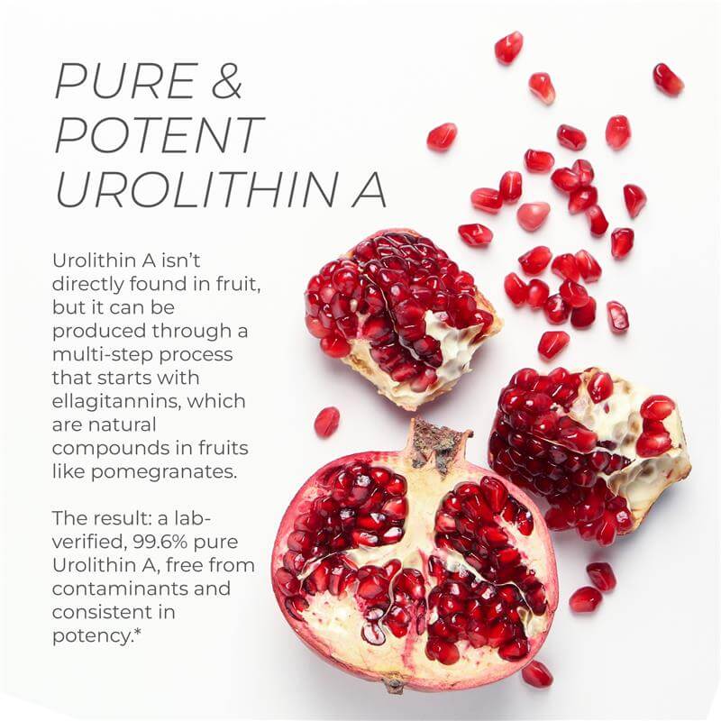 Pure and potent Urolithin A capsules from Neurogan Health shown in bottle with capsules in blister pack.