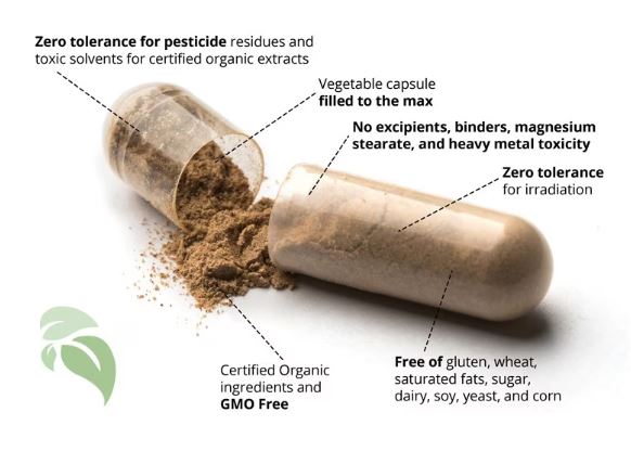 Osteo Px 60 Capsules - Healthspan Holistic