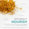 Neurogan Health Sea Moss Capsules with nutrient-rich sea moss in a clear bottle, showcasing the supplement's natural ingredients.