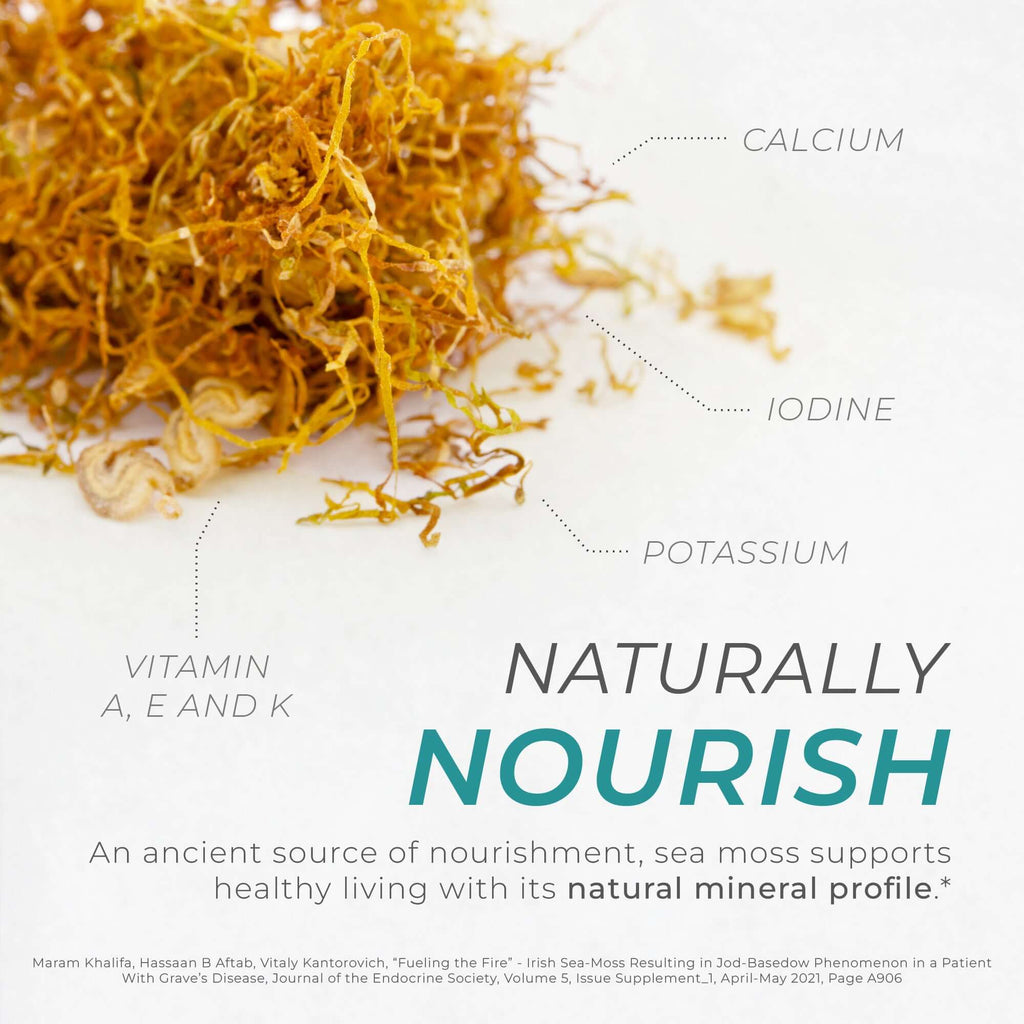 Neurogan Health Sea Moss Capsules with nutrient-rich sea moss in a clear bottle, showcasing the supplement's natural ingredients.