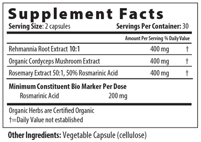 Bottle of Restorative Formulations T-Cell Balance Px 60 capsules, dietary supplement for immune support.