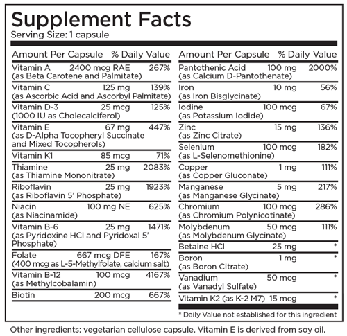 The Big One® with Iron 90 Capsules - Metabolic Maintenance - Healthspan Holistic