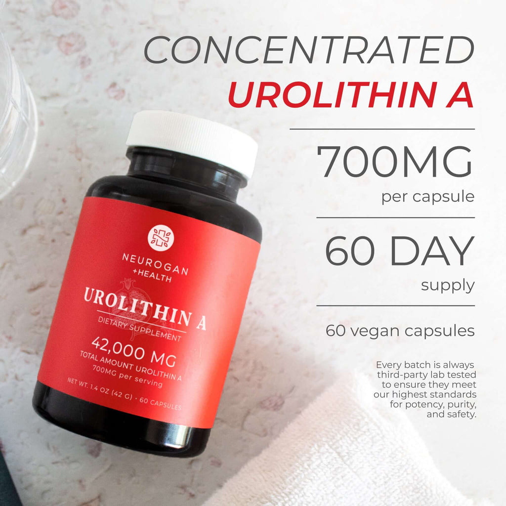 Neurogan Health Urolithin A capsules displayed in a bottle, showcasing supplement capsules for health and wellness.