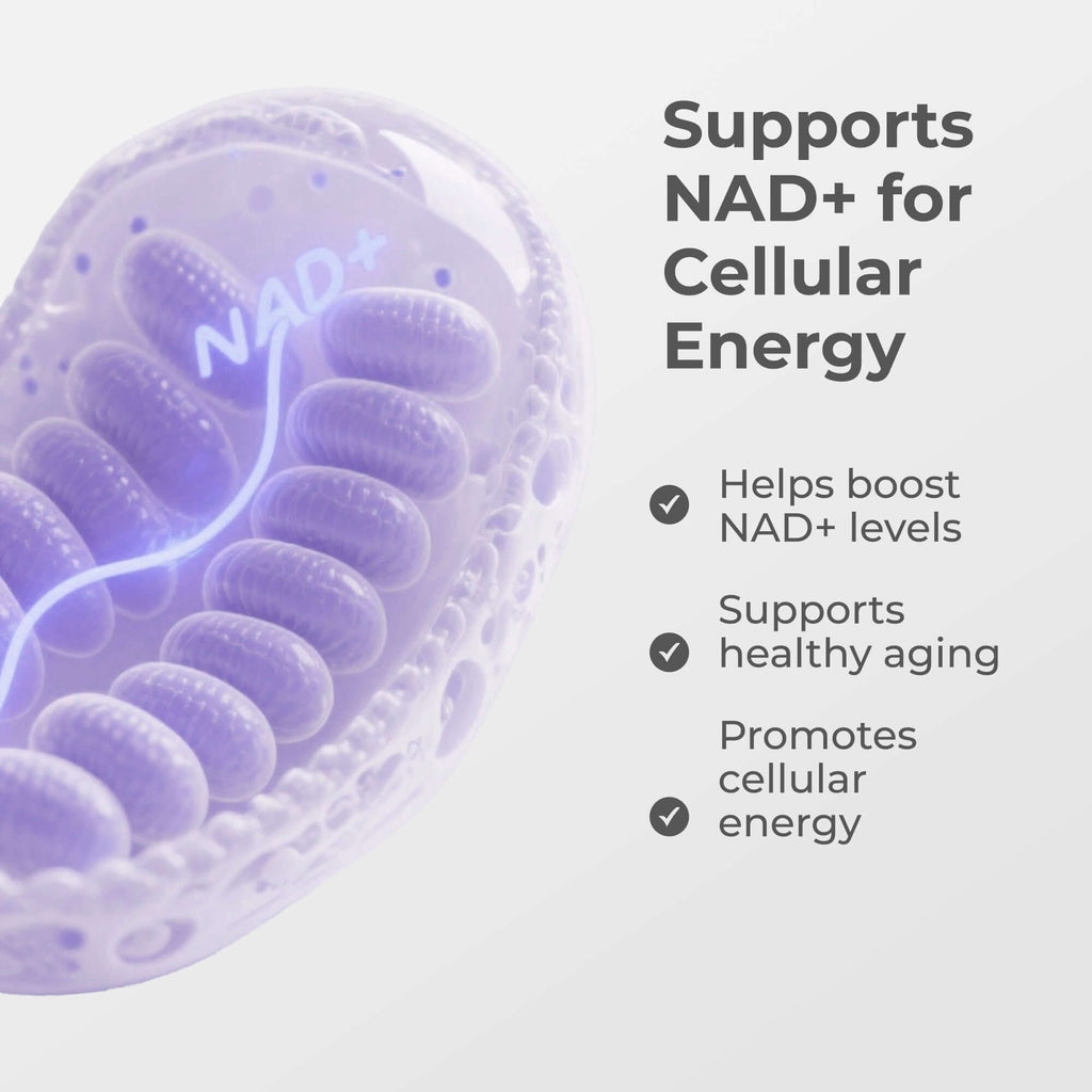 Neurogan Health NMN Capsules 500MG in a bottle, showing white supplement capsules, part of vitamins and supplements.